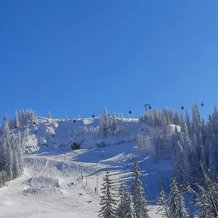 Magi - With Balcony Apartment Jahorina